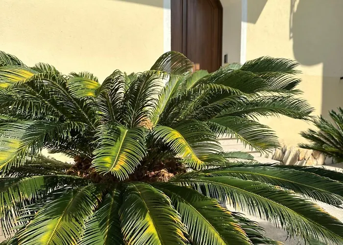 Lägenhet Dei Lidi's House Olbia